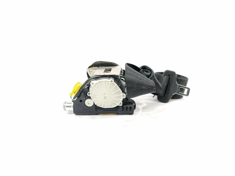Rear Left Seat Belt
